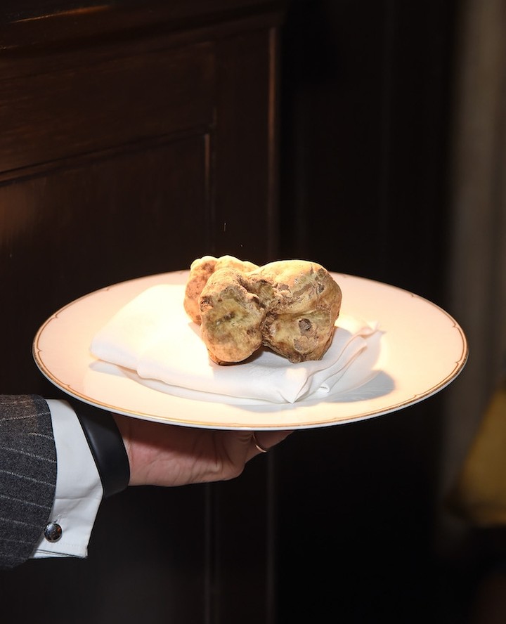 We are extremely excited to share that we are finalists in the @TravMedia_UK Awards ‘PR Stunt of the Year’ for our first Istrian White Truffle Auction.⁠
⁠
The Istrian White Truffle Auction and Dinner, hosted by @visitistria raised a staggering £18,500 for three life-changing charities. Held at Mayfair’s private members club Harry’s Bar, the event saw six lots of truffles and experiences auctioned by Lord Harry Dalmeny, Chairman of Sotheby’s, with the largest truffle of the season at 375g purchased by an anonymous London buyer.⁠
⁠
All proceeds raised on the evening were donated to three remarkable charities including London’s The Felix Project, Chain of Hope and Veruda Day Care Center in Istria.