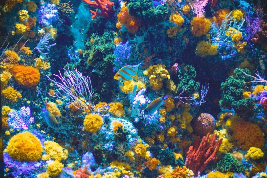 Social media and streaming services like Twitch and YouTube are making it possible for you to continue travelling around the globe and experience a variety of cultural and nature opportunities with livestreams. Here are a selected few from @condenasttraveller – https://bit.ly/2QFZrMV